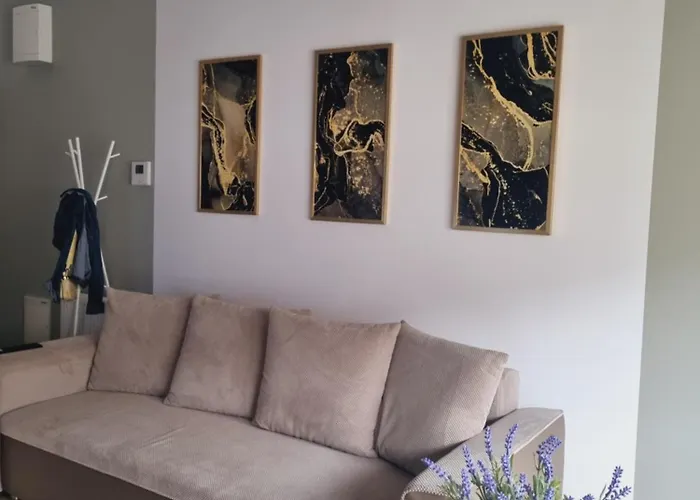 Apartament Miodowa Street Parking Free