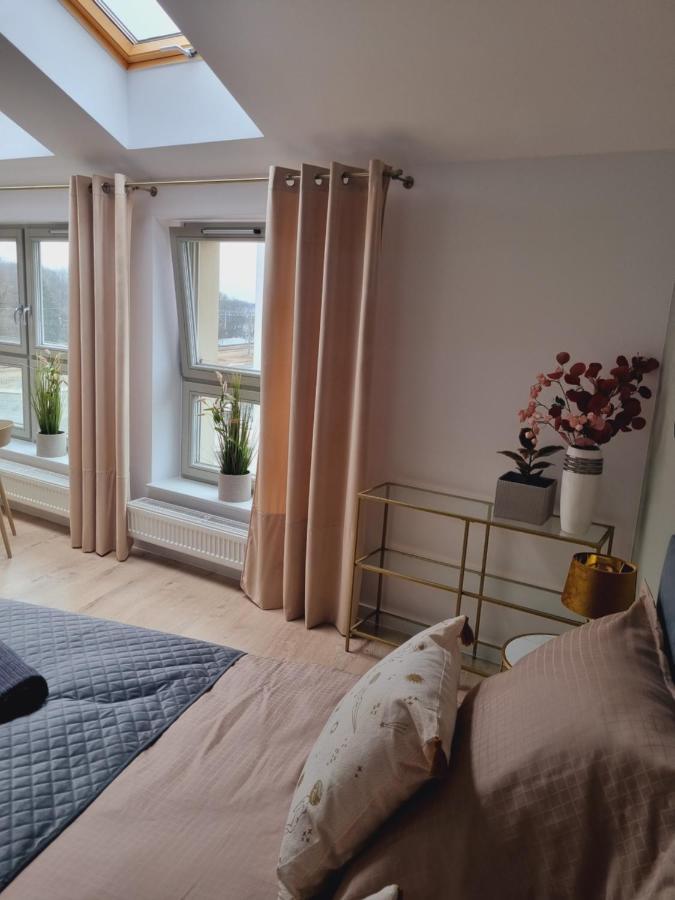 Apartment Miodowa Street Parking Free *